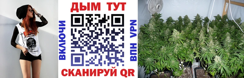 закладка  Минеральные Воды  Марихуана White Widow 